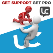 Get Pro Support